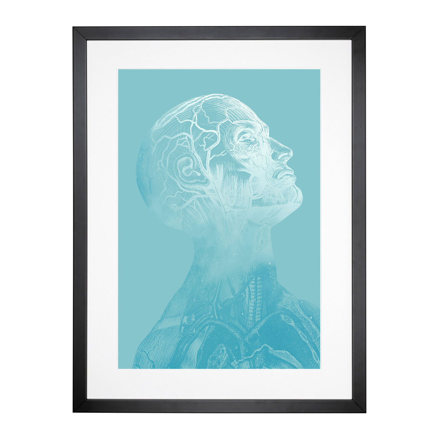 Teal Anatomical Twilight Head Framed Print Main Image