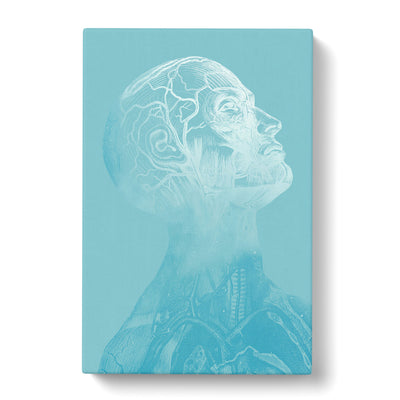 Teal Anatomical Twilight Head Canvas Print Main Image