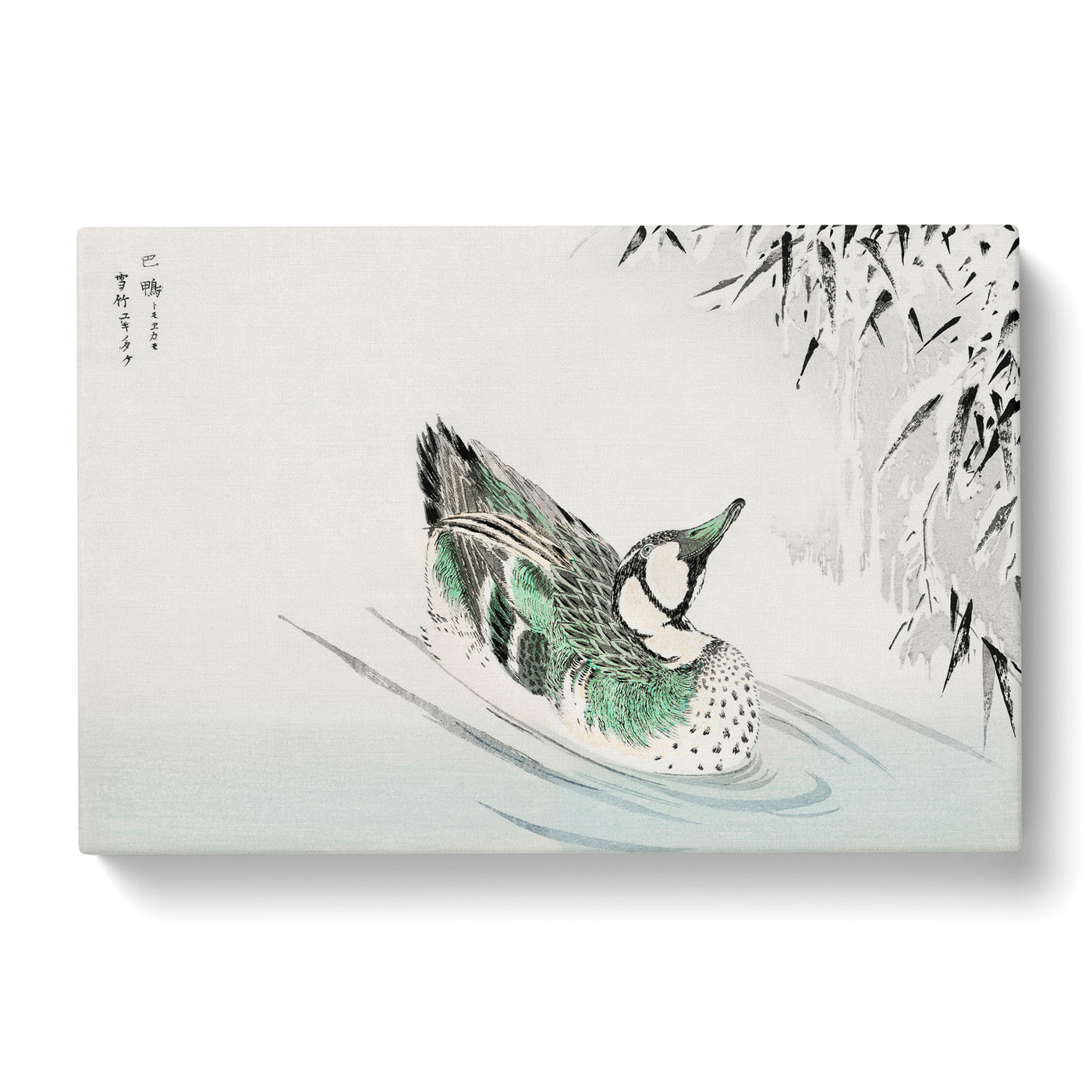 Teal Duck In The Pond By Numata Kashu Canvas Print Main Image