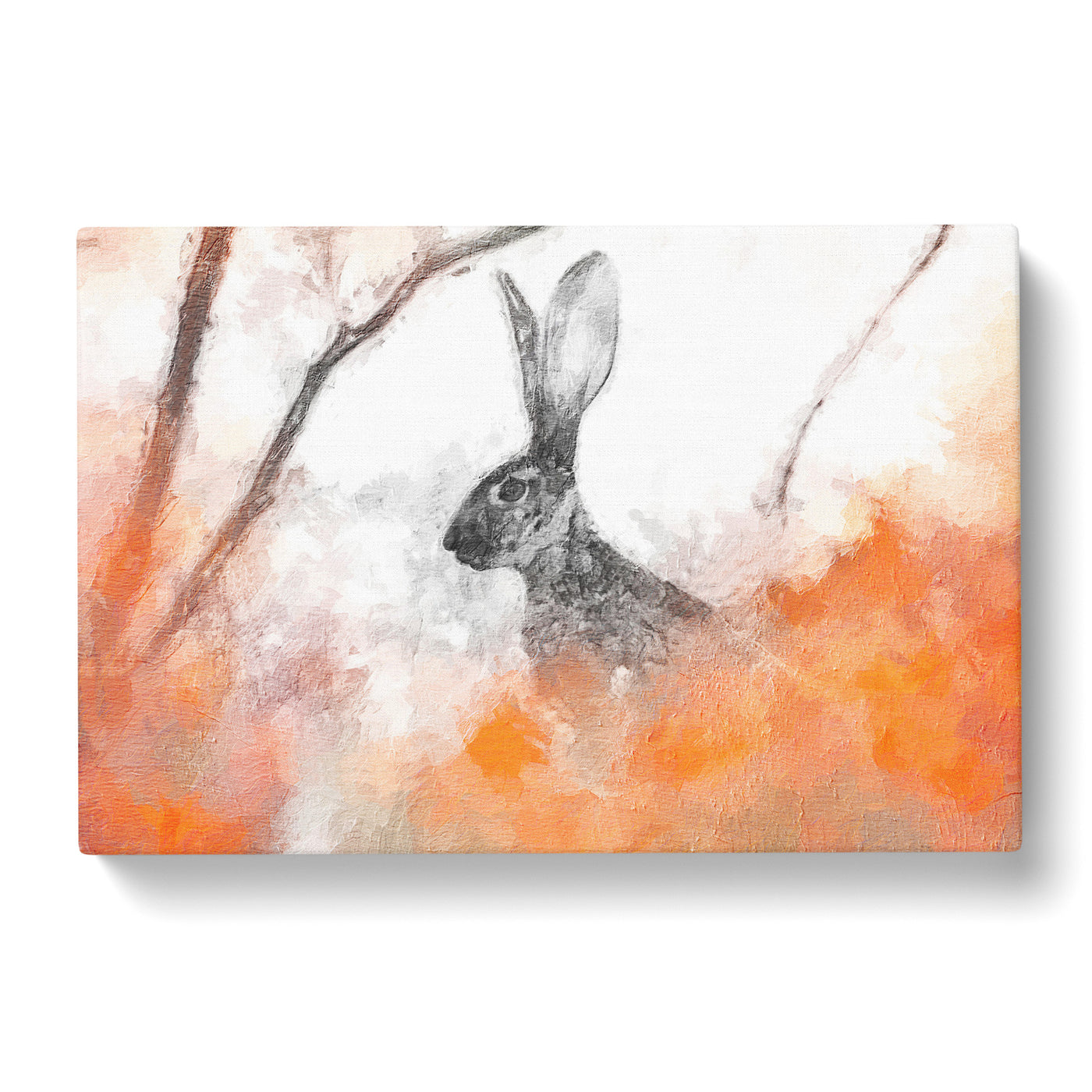 The Alert Hare in Orange Canvas Print Main Image