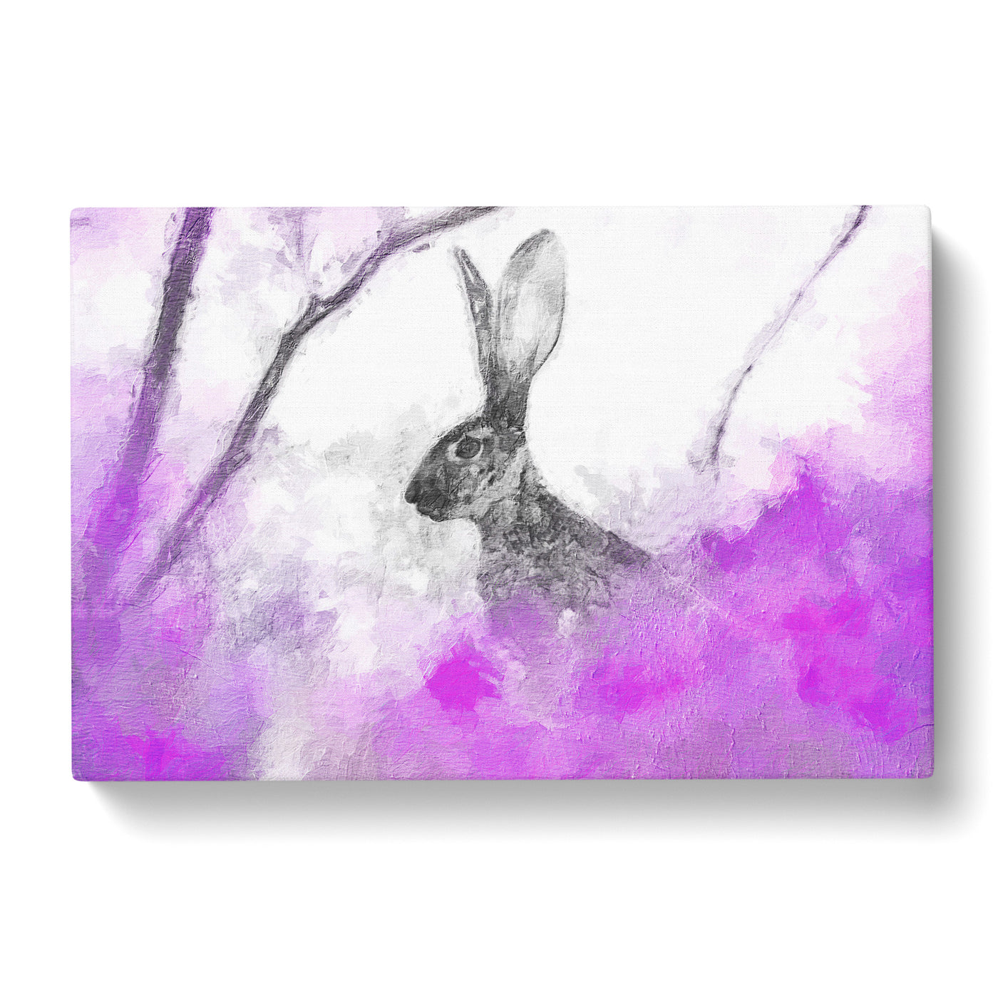 The Alert Hare in Pink Canvas Print Main Image