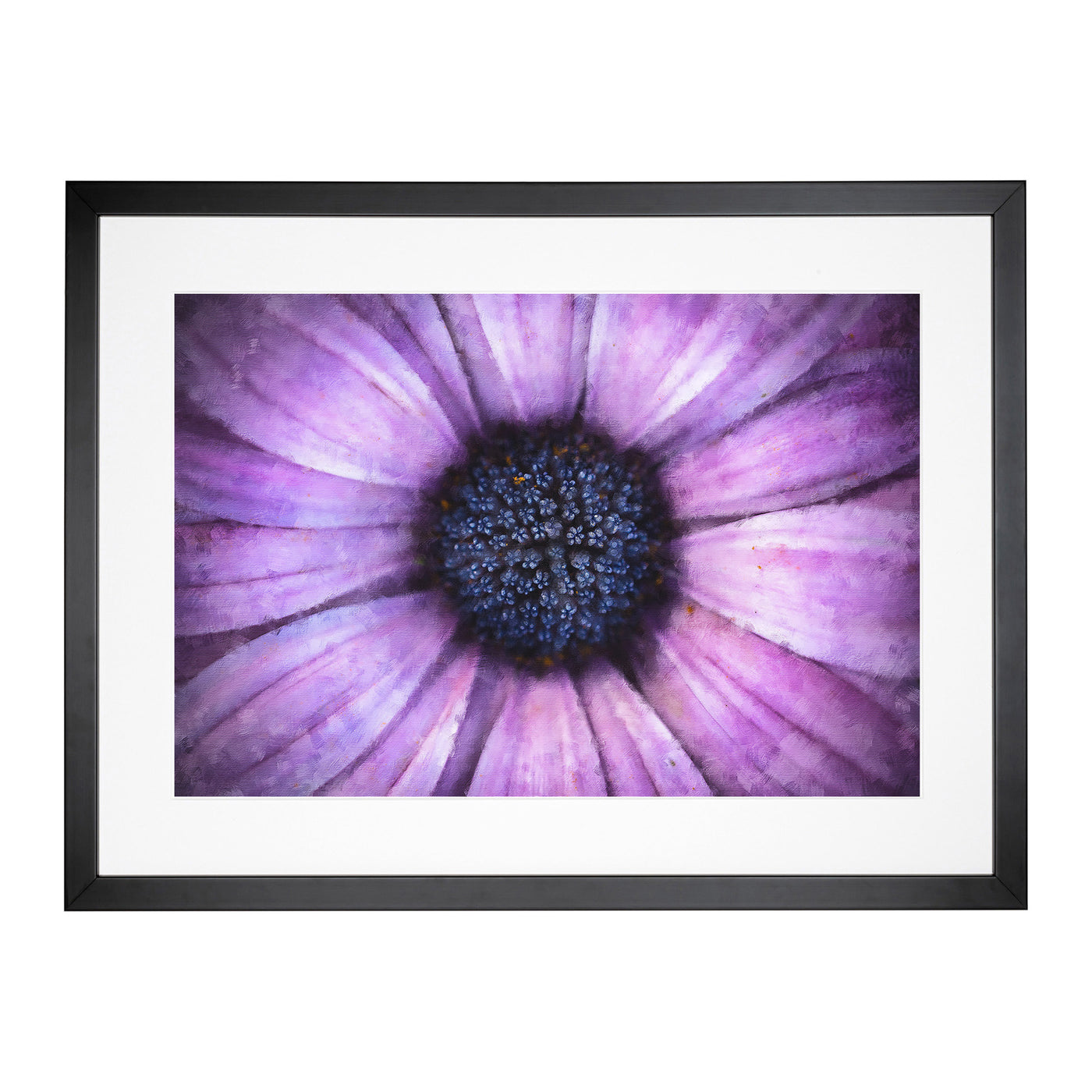 The Eye Of A Purple Flower