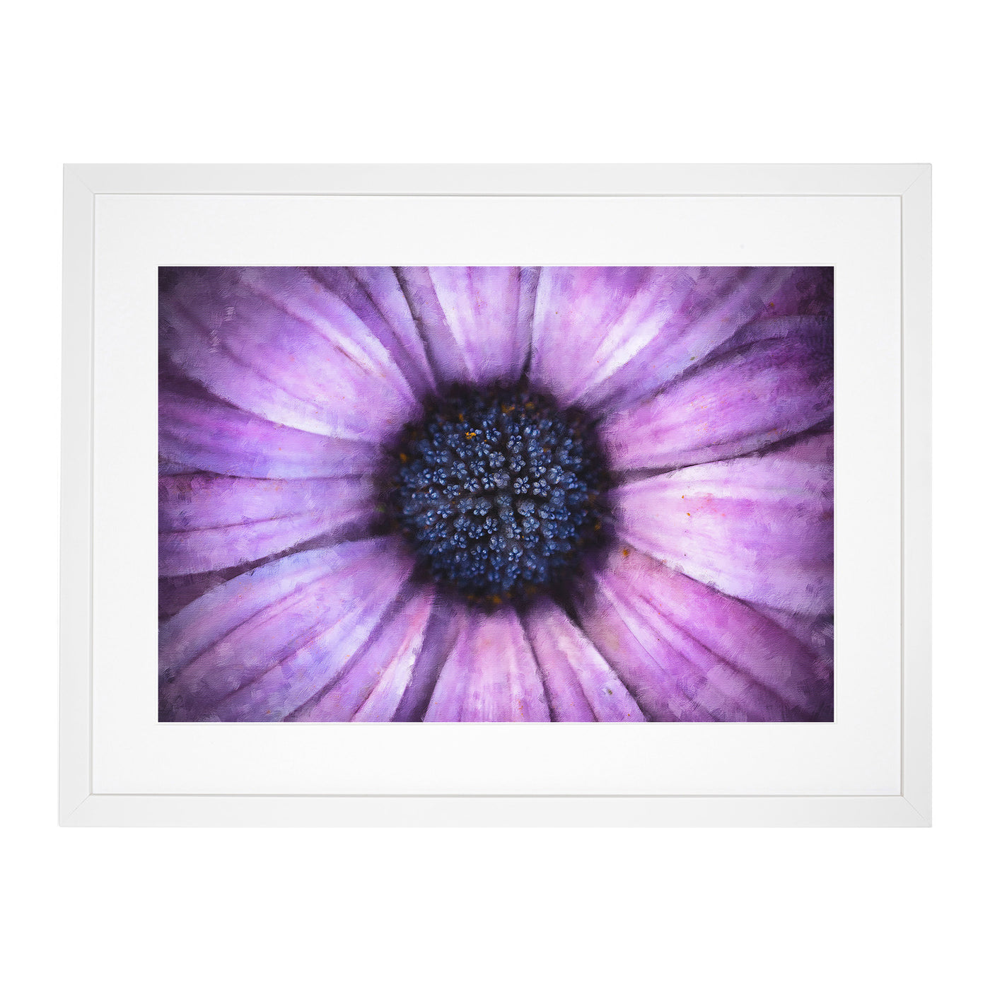 The Eye Of A Purple Flower