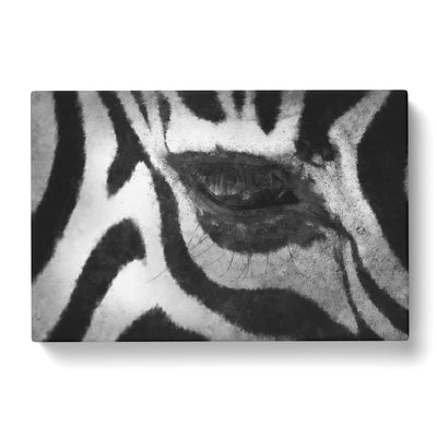 The Eye Of A Zebra Painting Canvas Print Main Image