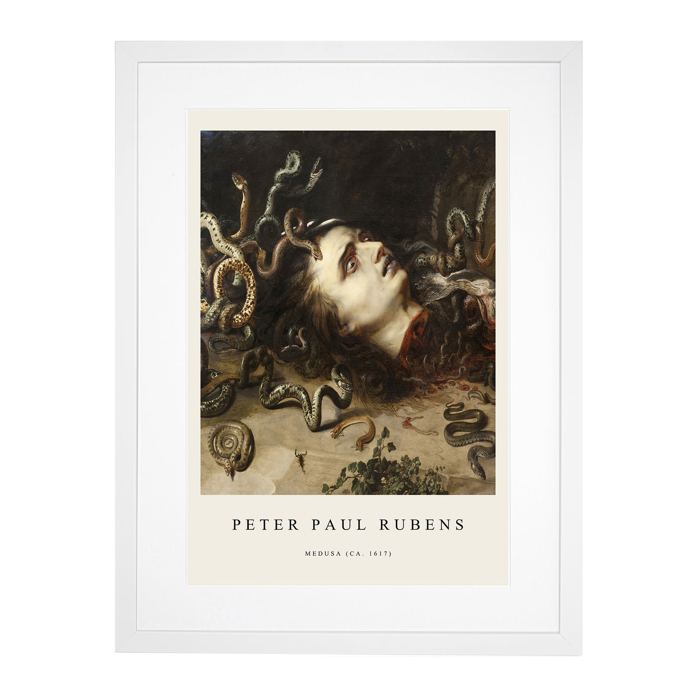 The Head Of Medusa Print By Peter Paul Rubens