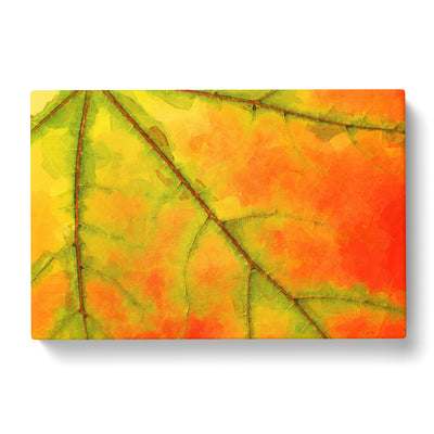 The Leaf Of A Sycamore Tree In Abstract Canvas Print Main Image