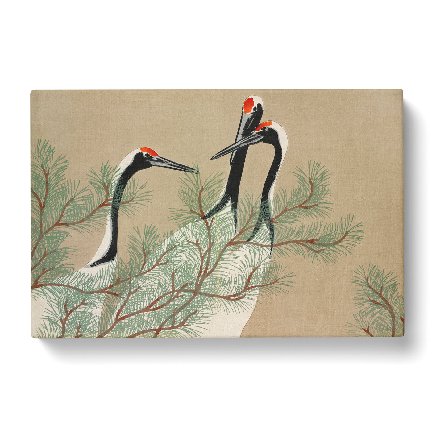 Three Cranes Byx Kamisaka Sekka Canvas Print Main Image