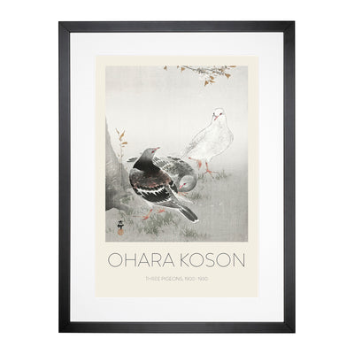 Three Pigeons Print By Ohara Koson Framed Print Main Image