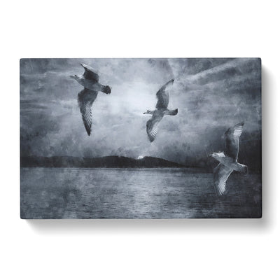 Three Seagulls Painting Canvas Print Main Image