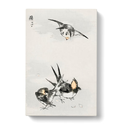 Three Swallows By Numata Kashu Canvas Print Main Image