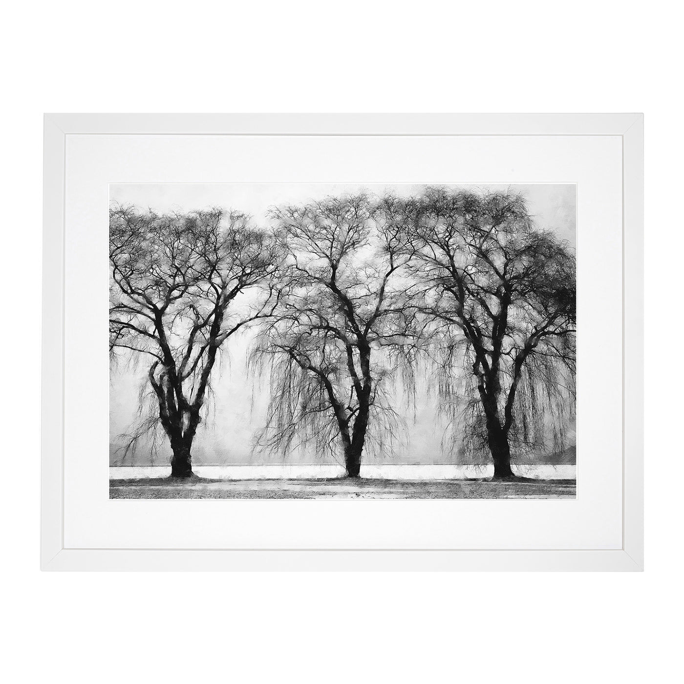 Three Trees At Winter