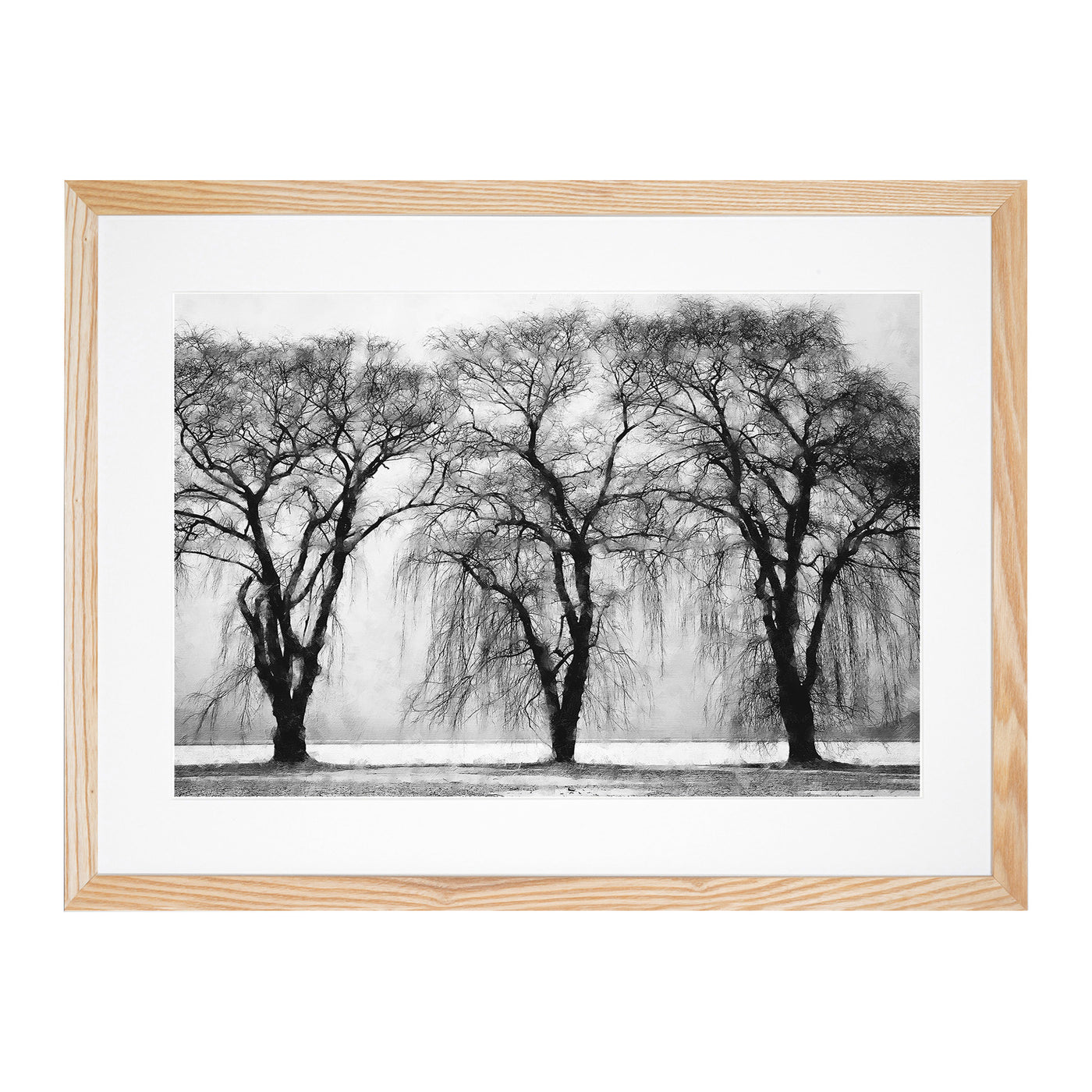 Three Trees At Winter