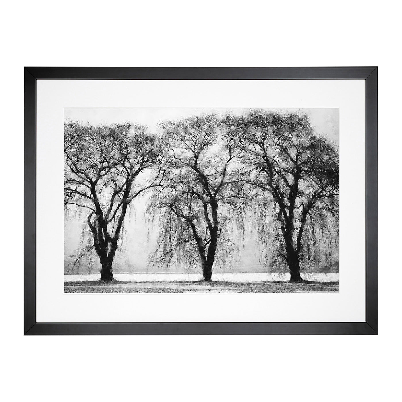 Three Trees At Winter