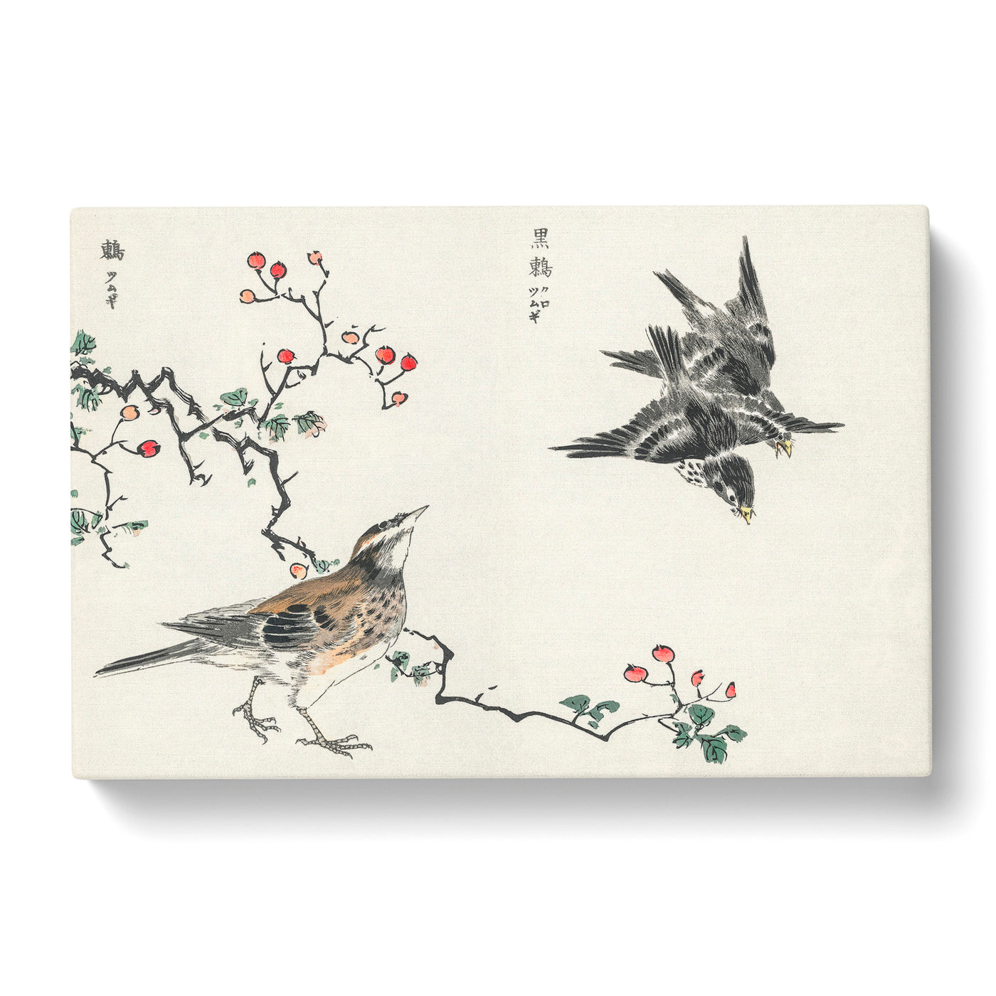 Thrush Birds By Numata Kashu Canvas Print Main Image