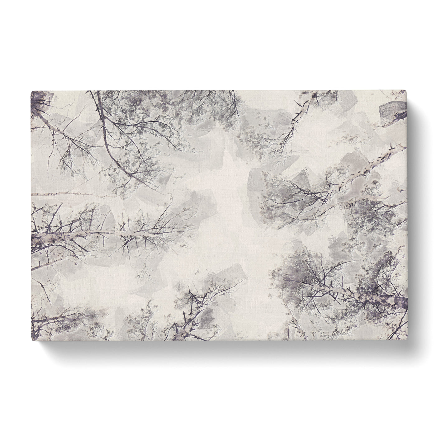 Tree Tops In Winter In Abstract Canvas Print Main Image