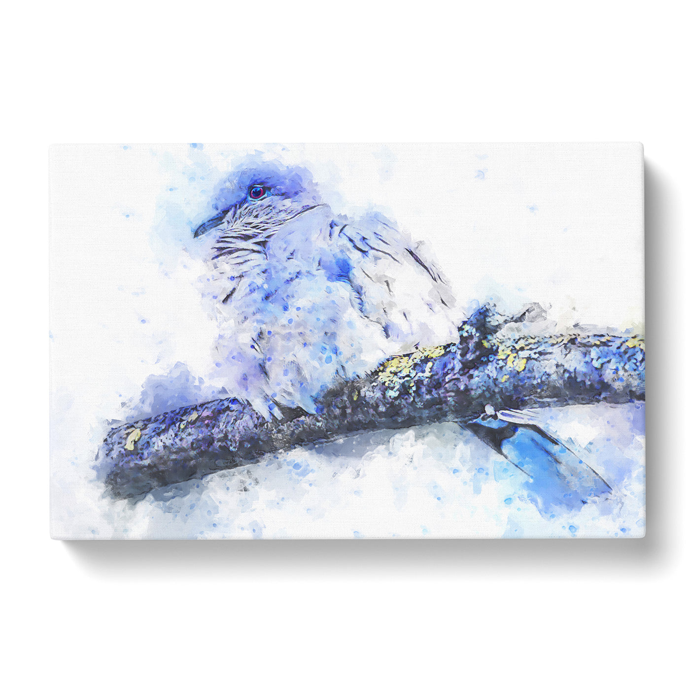 Turtledove In Abstract Canvas Print Main Image