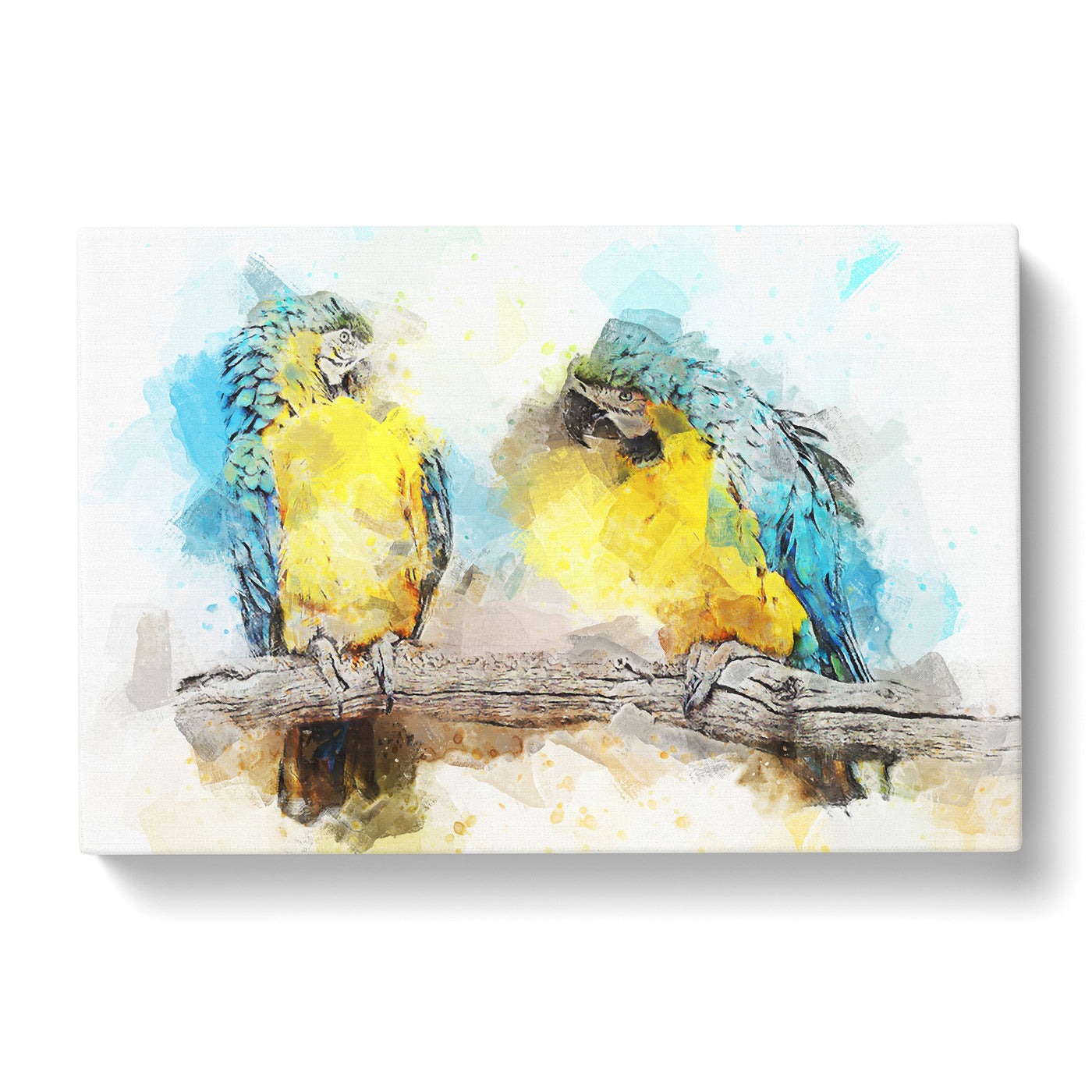 Two Blue & Yellow Macaw Parrots In Abstract Canvas Print Main Image