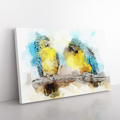 Two Blue & Yellow Macaw Parrots