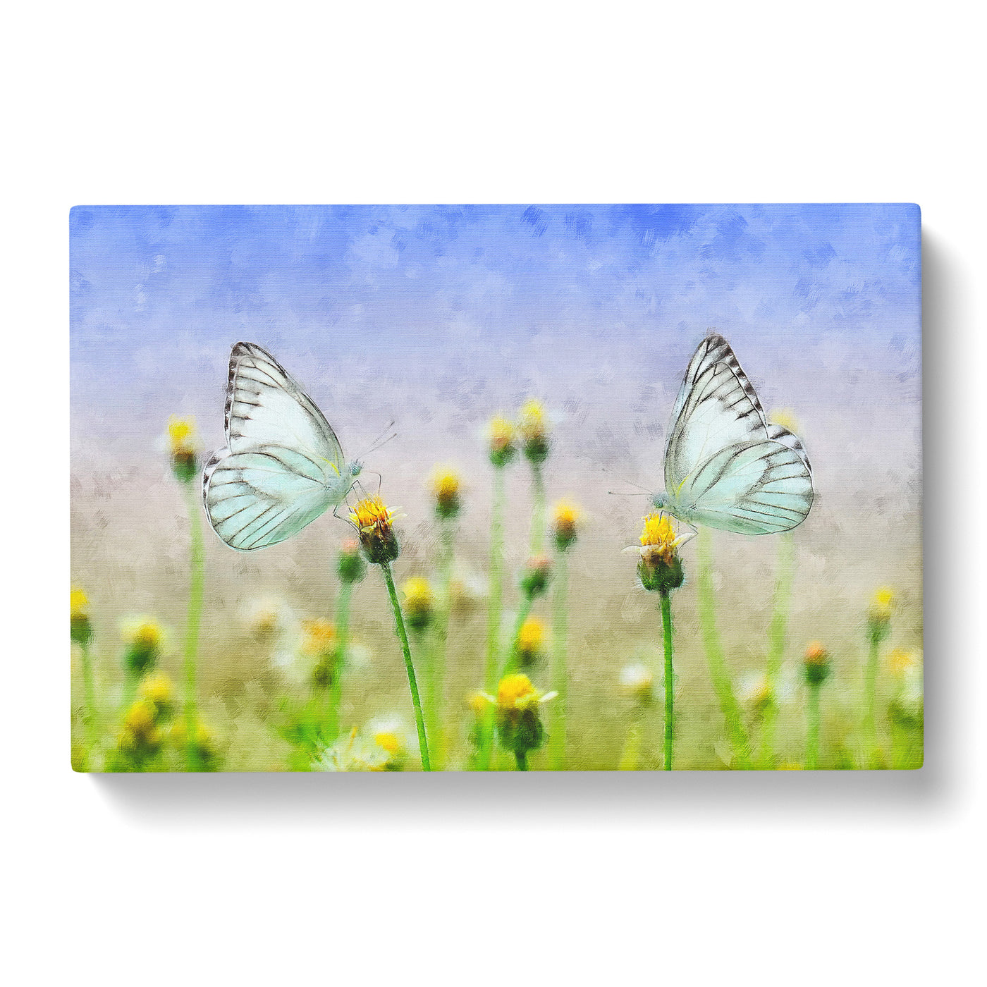 Two Butterflies Upon Yellow Flowers Painting Canvas Print Main Image