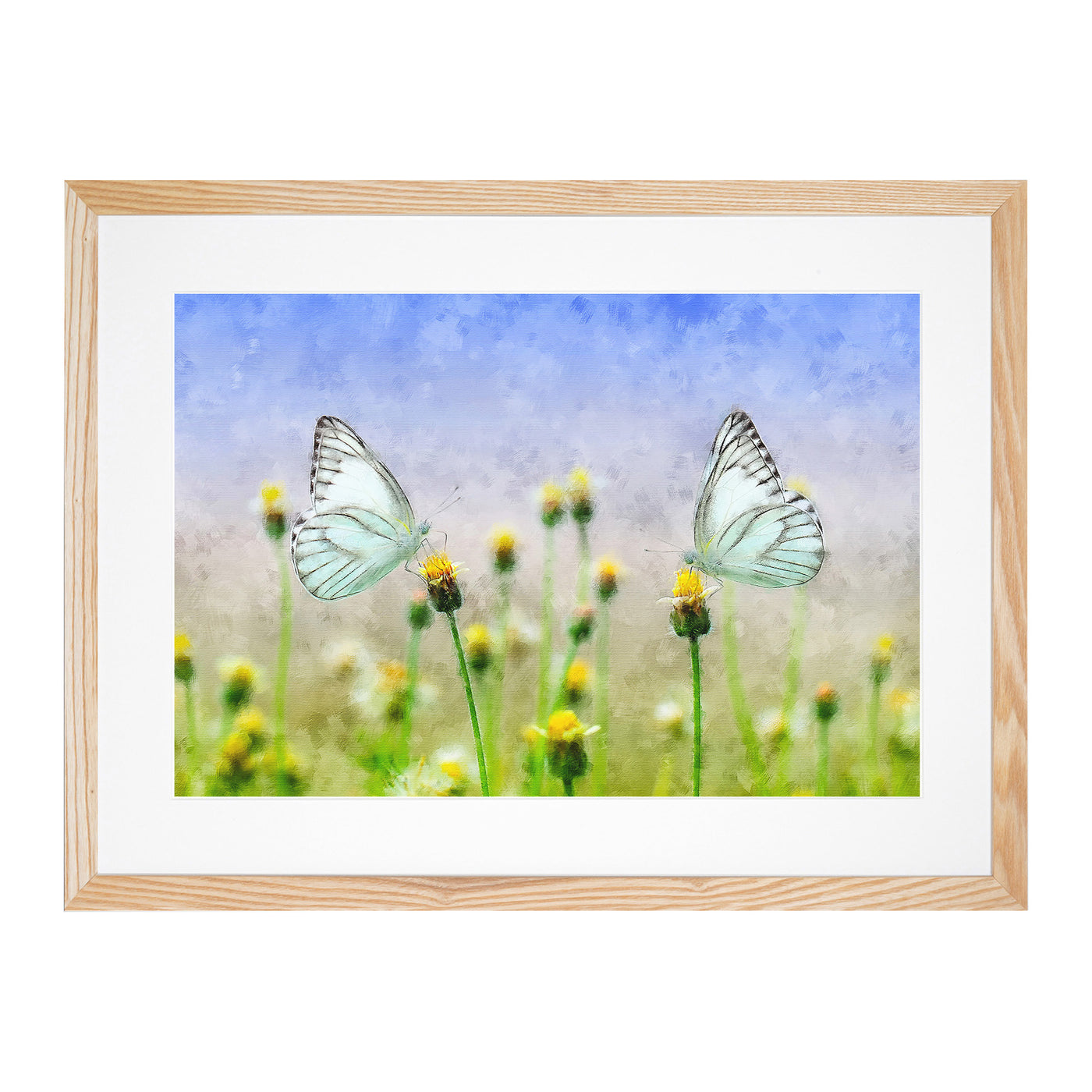 Two Butterflies Upon Yellow Flowers