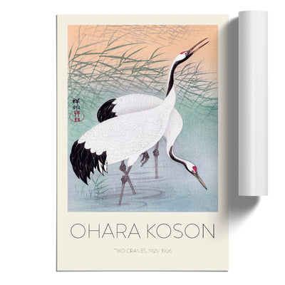 Two Cranes Print By Ohara Koson