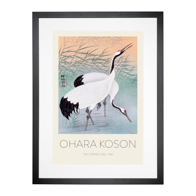 Two Cranes Print By Ohara Koson Framed Print Main Image