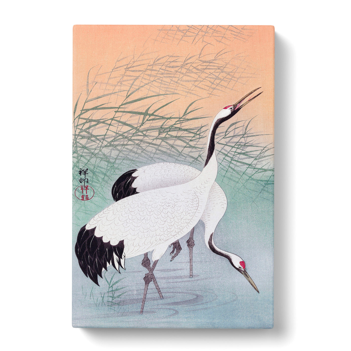 Two Cranes By Ohara Kosoncan Canvas Print Main Image