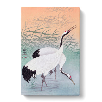 Two Cranes By Ohara Kosoncan Canvas Print Main Image