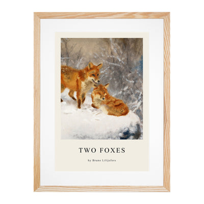 Two Foxes Print By Bruno Liljefors