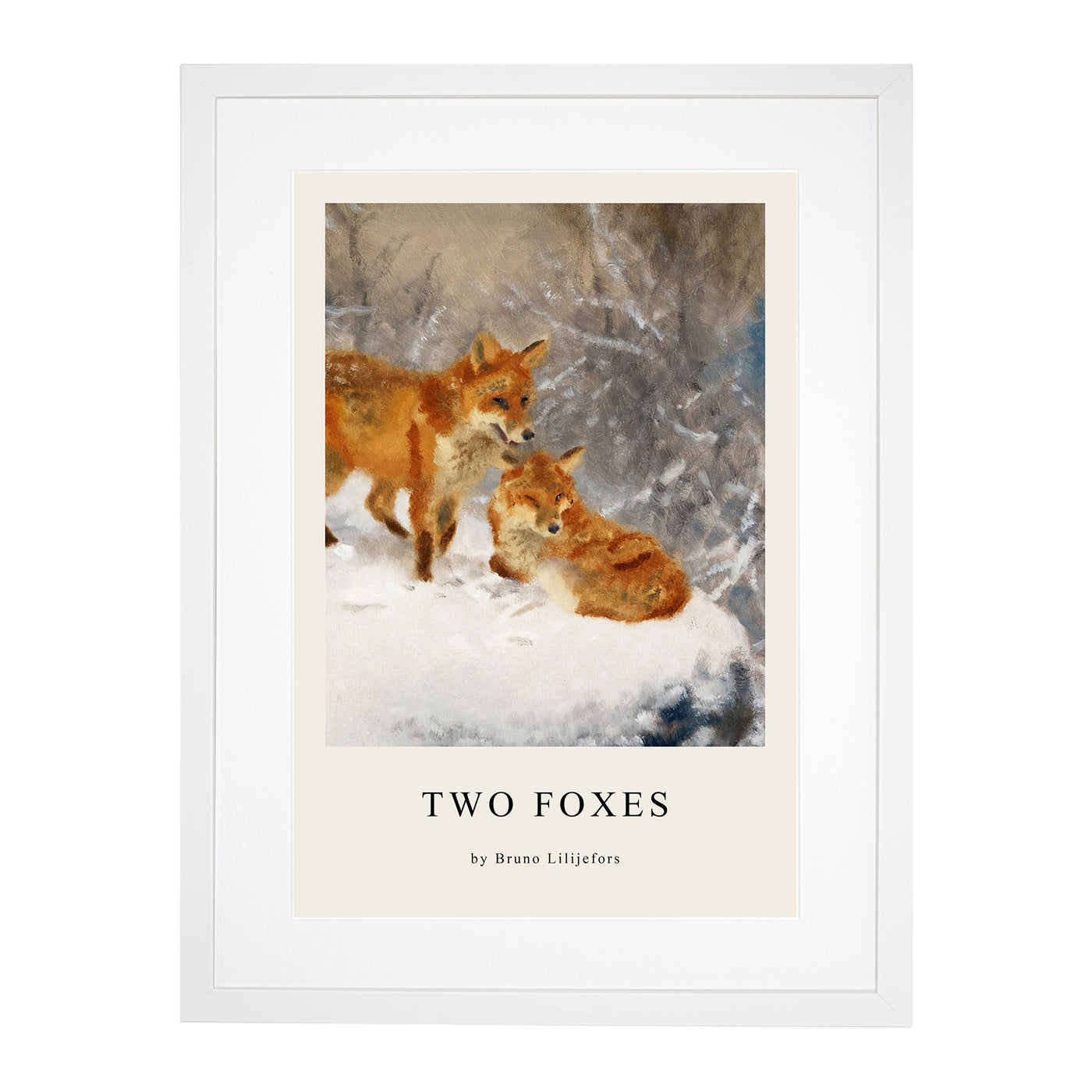 Two Foxes Print By Bruno Liljefors