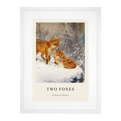 Two Foxes Print By Bruno Liljefors