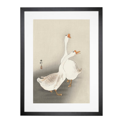 Two Geese By Ohara Koson