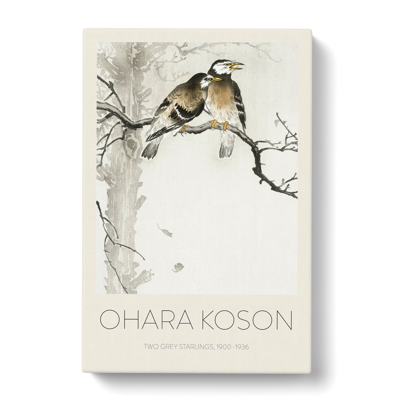 Two Grey Starlings Print By Ohara Koson Canvas Print Main Image