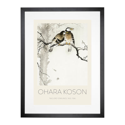 Two Grey Starlings Print By Ohara Koson Framed Print Main Image