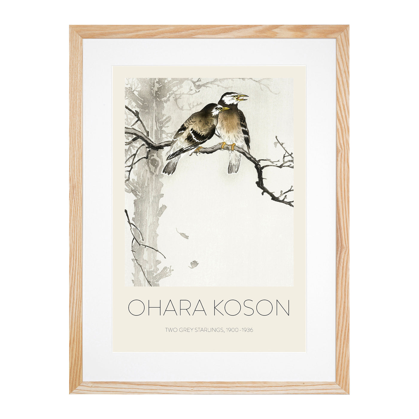 Two Grey Starlings Print By Ohara Koson