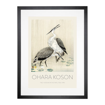 Two Herons In The Rain Print By Ohara Koson Framed Print Main Image