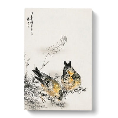 Two Japanese Greenfinch Birds By Numata Kashu Canvas Print Main Image