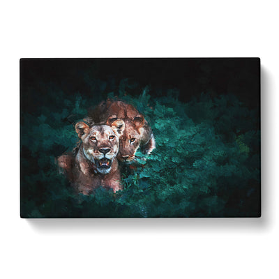 Two Lions In The Shadows Canvas Print Main Image