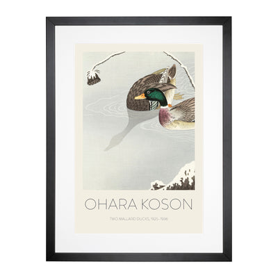 Two Mallard Ducks Print By Ohara Koson Framed Print Main Image