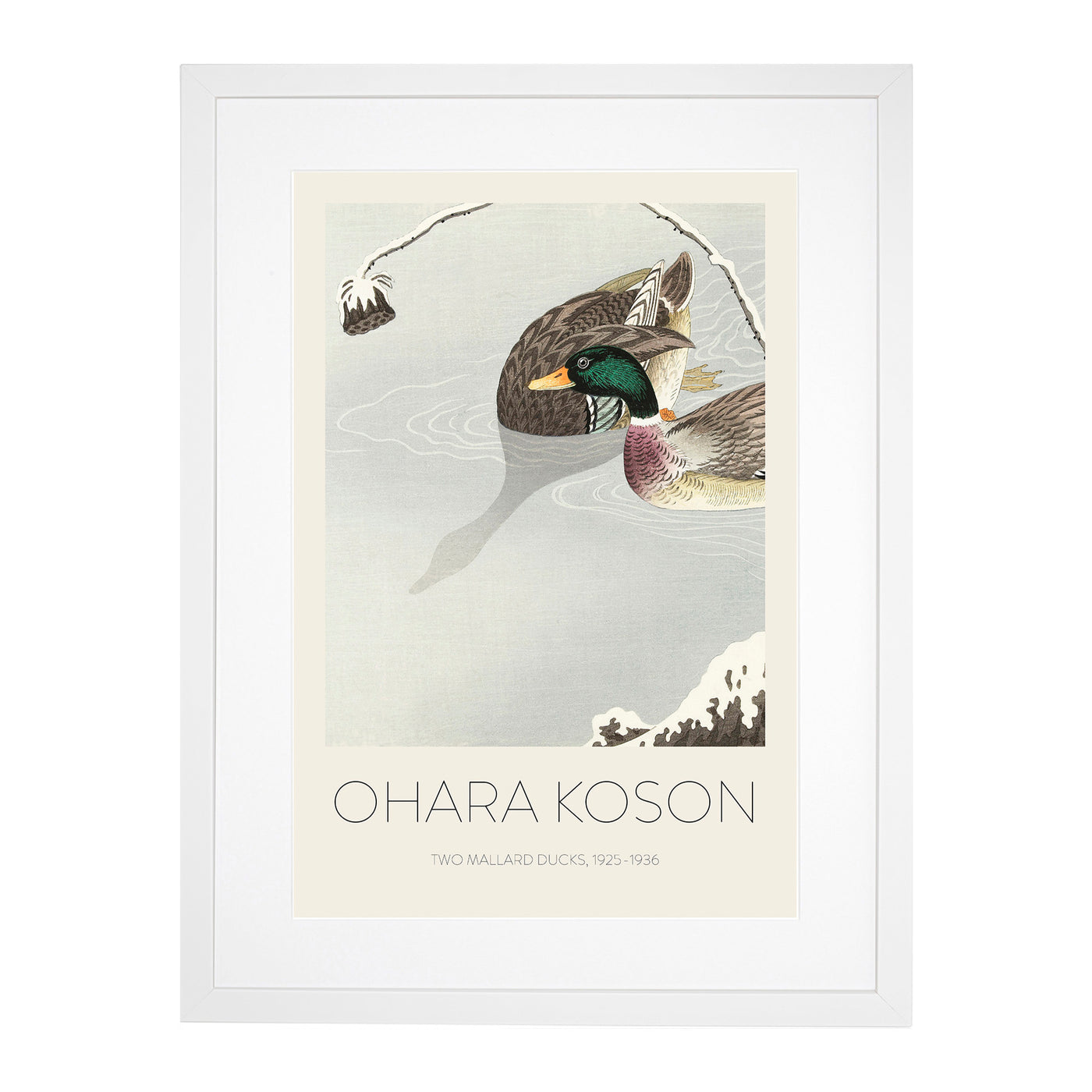 Two Mallard Ducks Print By Ohara Koson