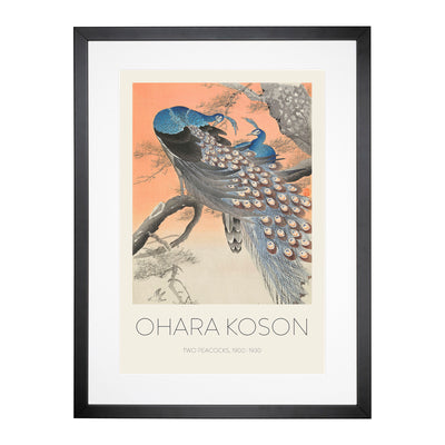 Two Peacocks Print By Ohara Koson Framed Print Main Image