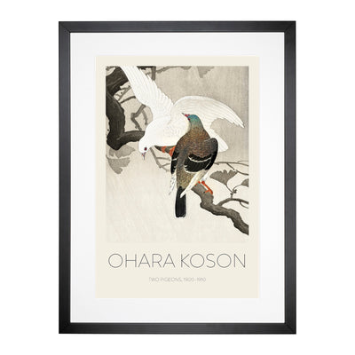 Two Pigeons On A Branch Print By Ohara Koson Framed Print Main Image