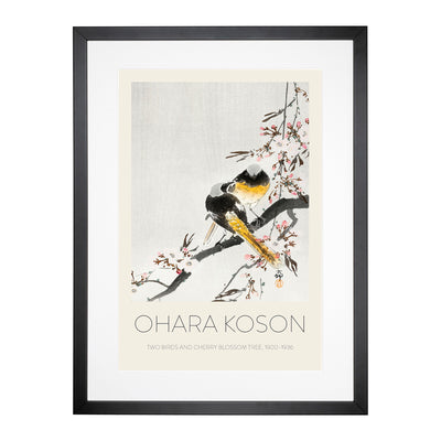 Two Sable Red Tails & Cherry Blossom Print By Ohara Koson Framed Print Main Image