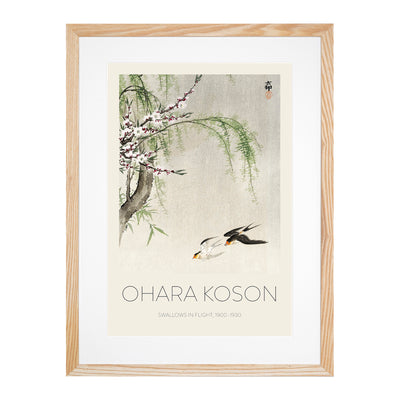 Two Swallows In Flight Print By Ohara Koson