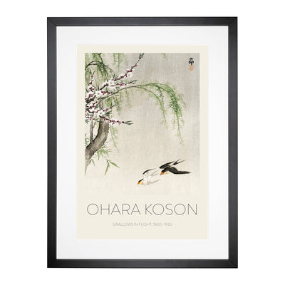 Two Swallows In Flight Print By Ohara Koson Framed Print Main Image