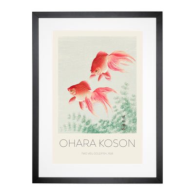 Two Veil Goldfish Print By Ohara Koson Framed Print Main Image