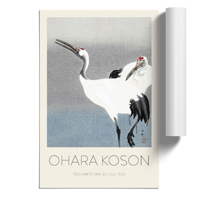 Two White Cranes Print By Ohara Koson