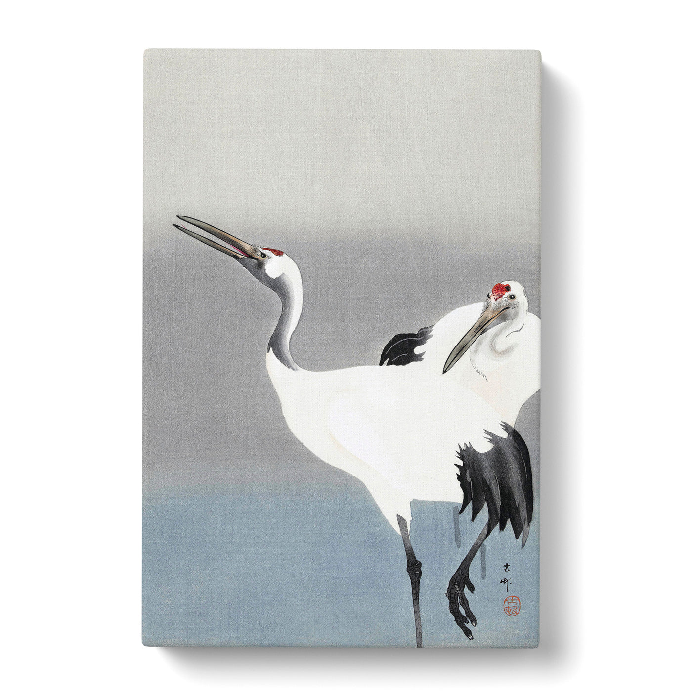 Two White Cranes By Ohara Kosoncan Canvas Print Main Image