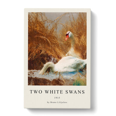 Two White Swans Print By Bruno Liljefors Canvas Print Main Image