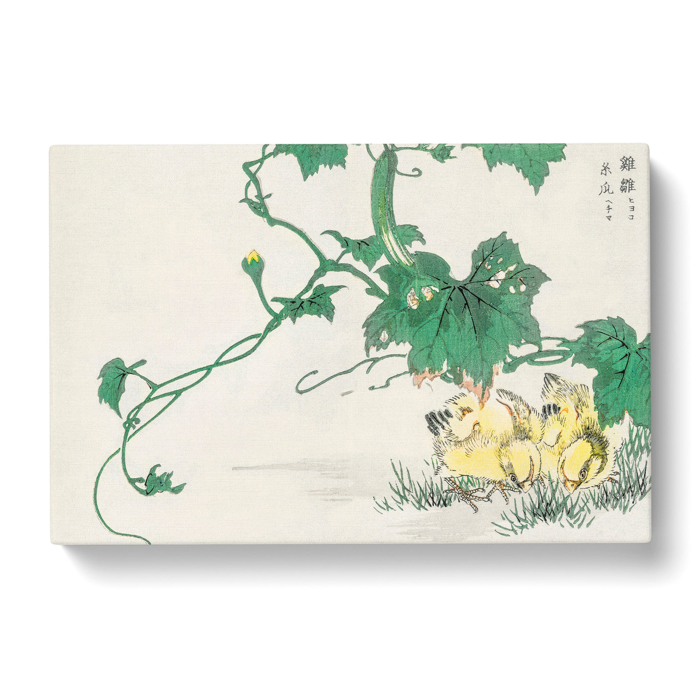 Two Yellow Chicks By Numata Kashu Canvas Print Main Image